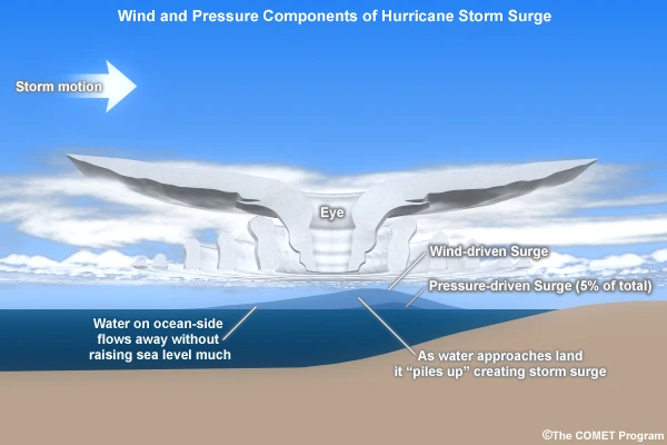 Wind and Pressure Components of Hurricane Storm Surge